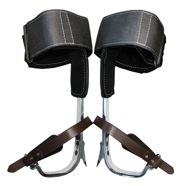 Professional Tree Climbing Spurs Treetools